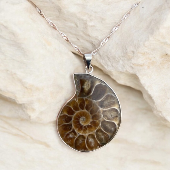 Ammonite fossil necklace - Picture 1 of 1